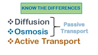 Cell Transport| Diffusion, osmosis, active transport