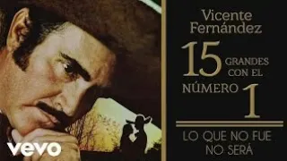 Vicente Fernández - Lo Qué No Fue No Será (Tema Remasterizado) [Cover Audio]