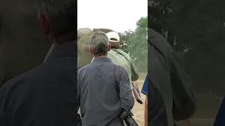 How to calm an angry Elephant. Mana pools special, Zimbabwe