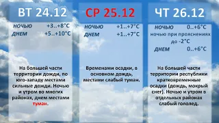 Белгидромет -  Прогноз погоды на 24 - 29 декабря 2019 года