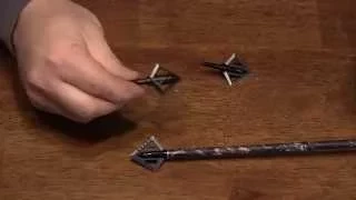 Magnus Broadheads Black Hornet Ser-Razor Demo  by Aaron Priest