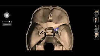 cranial cavity DR SAMEH GHAZY