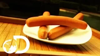 HOT DOGS | How It's Made