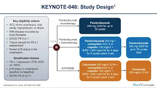 Building on the Immunotherapy Foundation for Head and Neck Cancer