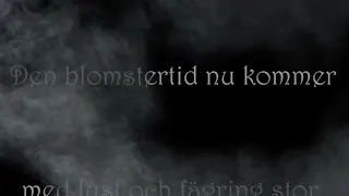 Blomstertid - Martin Wave BJOERN / Lyrics