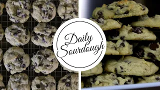 Sourdough Chocolate Chip Cookies - How to Make Sourdough Cookies - Daily Sourdough