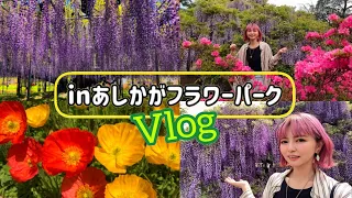 【vlog】あしかがフラワーパーク2023～ふじの花物語・大藤まつり～満開で見頃なお花に感動！癒しを求めてドライブ！休日 観光 日帰り旅行 おすすめ ASHIKAGA FLOWER PARK