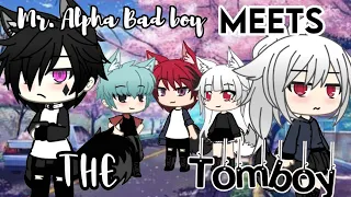 Mr.Alpha Bad boy meets the Tomboy『GLMM』(Original)