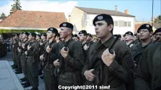 Angelobung Bundesheer 2011 Bad Deutsch Altenburg