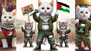 Palestine Anthem | Rehmatul lil alameen Wearing Pales-tine Flag Cute Pets #cat #catlover