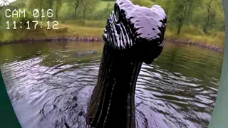 Top 5 MOST TERRIFYING Loch Ness Monster Encounters (2024)