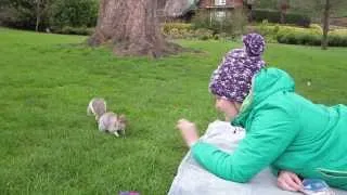 Befriending the Squirrel