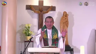 Rise again! | HOMILY 27 June 2021 with Fr. Jerry Orbos, SVD