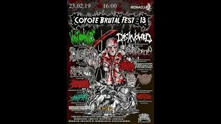 Видео приветствие на COYOTE BRUTAL FEST 13 Москва 23 02 2019  Datura Донбасс