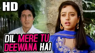 Dil Mere Tu Deewana Hai (Sad) | Kumar Sanu | Sooryavansham 1999 Songs | Amitabh Bachchan, Soundarya