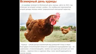 11 ноября - Всемирный день курицы, холостяка, качества, оригами, шопинга и Темпранильо