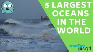 Largest Seas and Oceans in the World