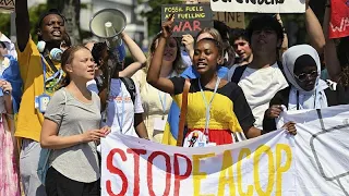 Climate activists denounce COP28 president