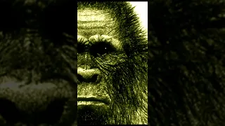 A Type Of Bigfoot Is Observed With Sketch Comparison