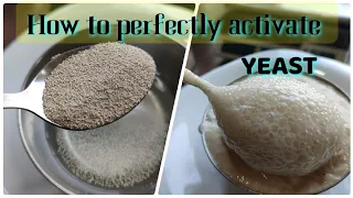 RIGHT WAY TO ACTIVATE DRY YEAST ☑️, HOW TO ACTIVATE DRY YEAST PROPERLY , YEAST FOR BREAD DOUGH