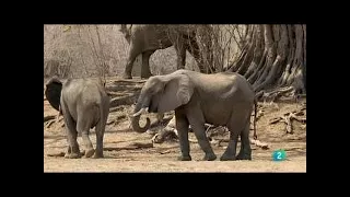 Mediterráneo Grandes Documentales de la 2 de TVE