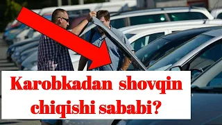 Mashinadan shovqin chiqishi nimadan bo'ladi?