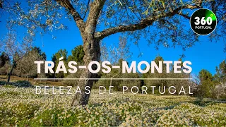 Trás-os-Montes | Mix | Belezas de Portugal