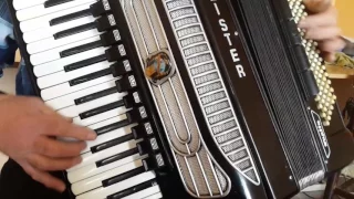 Weltmeister Supita 120 Bass Double Cassotto Accordion Fisarmonica Akkordeon (1)