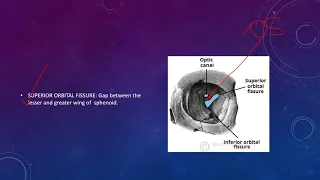 canals and fissures in orbit