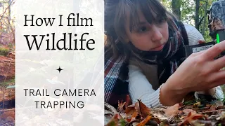 How I film Wildlife // Trail Camera trapping // Once Upon a Forest