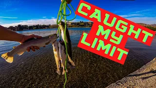 TROUT fishing HANSEN DAM | Catching my LIMIT