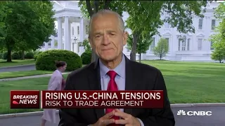 Advisor Peter Navarro threatens coronavirus retaliation on China: They inflicted tremendous damage