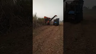 Shaktiman Sugarcane harvester and New Holland 3630 Tractor #shorts #indianfarmer #farmersson
