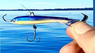 This Bait Catches Big Crappie