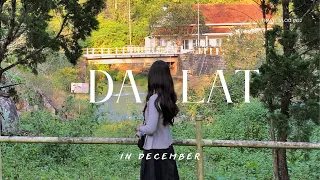 Vlog Đà Lạt || Đà Lạt tháng 12 ❄️ những ngày cuối năm || Chuyến đi 3 ngày 2 đêm của chúng mình