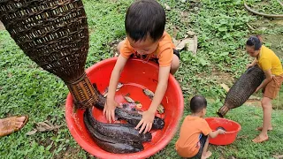 Bringing clean water to daily life, setting traps to catch lots of fish - Single mother's life.