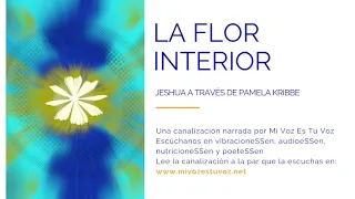 LA FLOR INTERIOR - Jeshua a través de Pamela Kribbe | Canalización