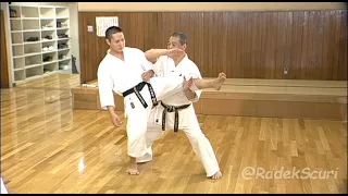 Sepai _ secret techniques (English translation)_ Yoshio Kuba_ Goju ryu Karate