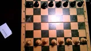 Шахматы. Урок #1. Правильно расставляем фигуры
