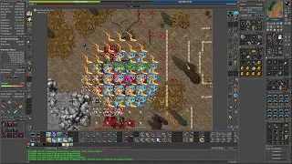 Tibia / Roshamuul North (After balance patch) / 9kk+ raw / Better than Roshamuul West?