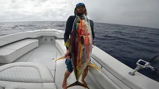 Yellowfin Tuna FRENZY!!!