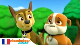 Paw Patrol : La Pat' Patrouille | Le sauvetage | NICKELODEON JUNIOR