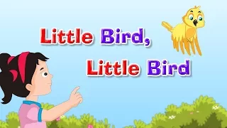 Little Bird, Little Bird | Popular Kids Songs and Nursery Rhymes | Kidda TV For Children