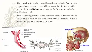 2-14 Prosthodontics, Waxing and Carving.