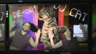 Cats (Tim and Eric)