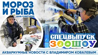 Аквариумные новости с Владимиром Ковалевым (14.12.2023). Мороз и рыба на ЗООШОУ.