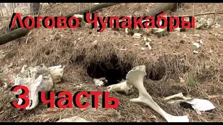 Нашел логово Чупакабры, куча костей вокруг норы 33 Chupacabra lair