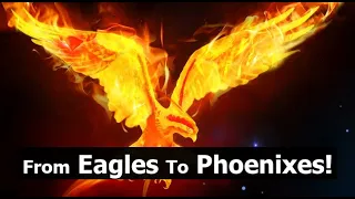 From Eagles To Phoenixes! (will blow your mind)