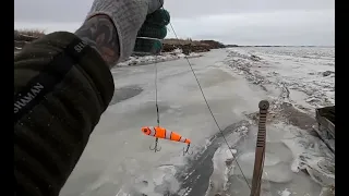 Что он творит!!! Наловил целую гору щуки!