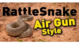 Rattle Snake Hunt Real Air Gun Hunting : American Airgunner TV